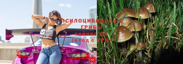 прущие крисы Балабаново